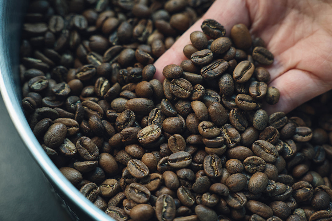 Lab 19 Coffee Roasting