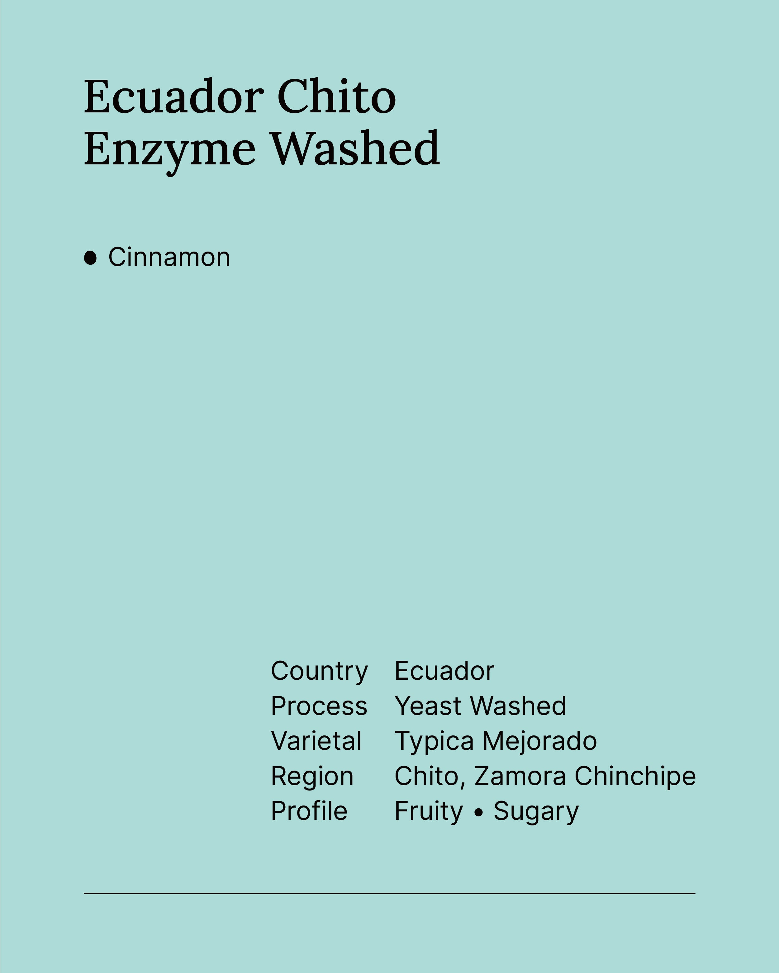 Ecuador Chito Enzyme Washed