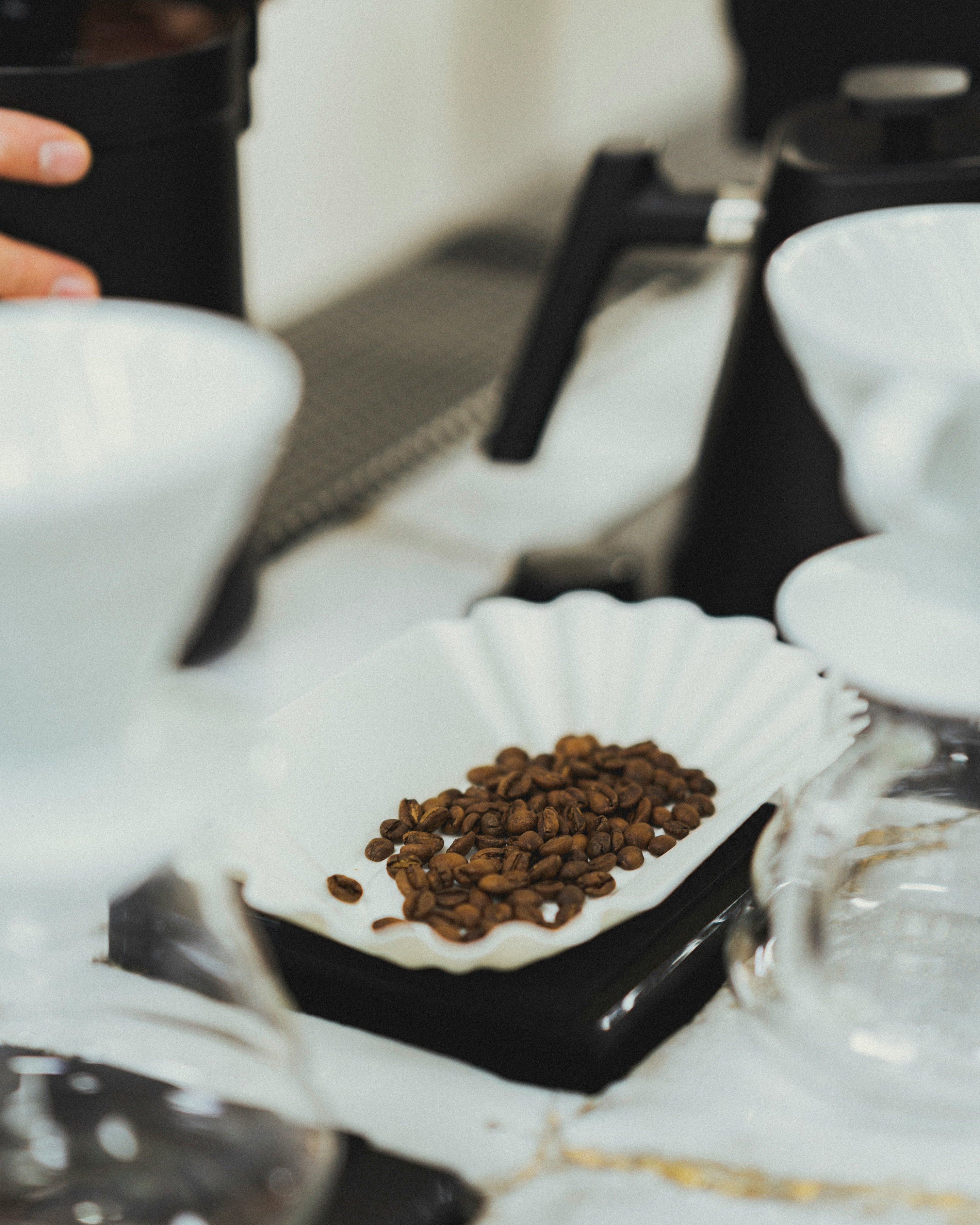 Course B-The Art of Tasting