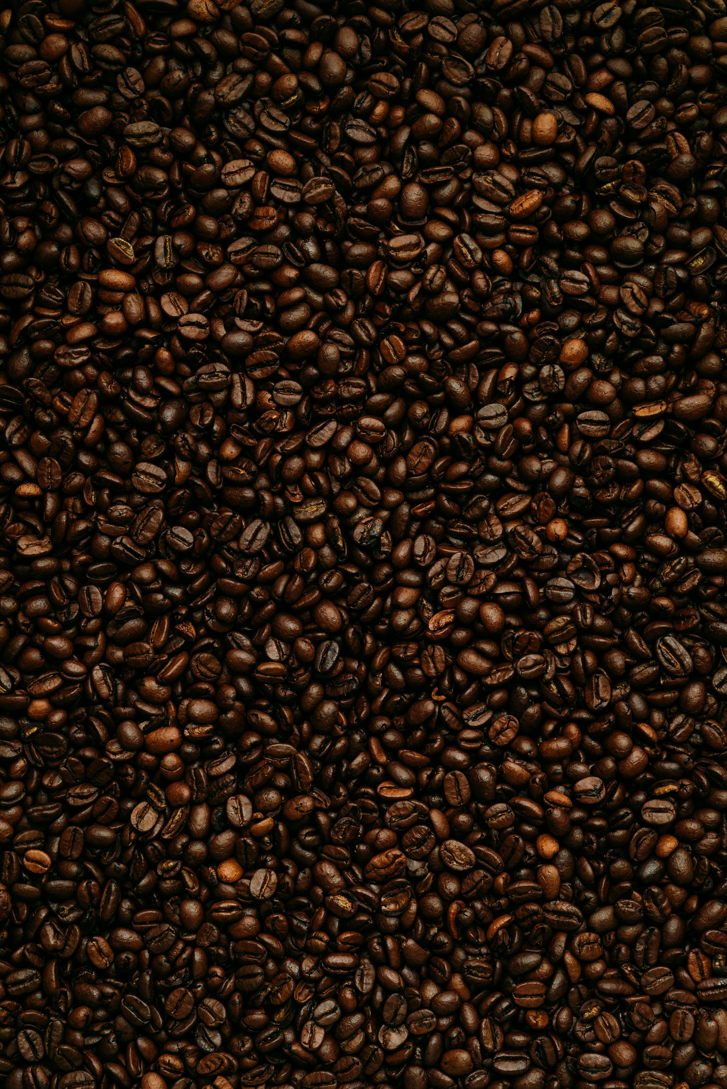 Kenya Mamuto AB Washed 200g